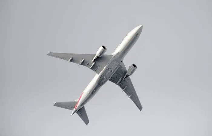 winglet